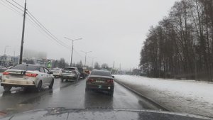 Лох не мамонт, а апартаментный лох вершина эволюции