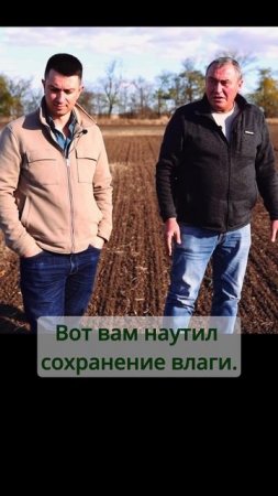 Влаги нет, но урожаи лучше.