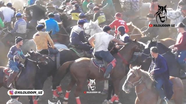 ZOMIN ISMOIL XOJI AKAMIZNI NEFRIT OTI BN TAYSIN POLVON #uloq #buzkashi #kokpar #kopkari #kokboru