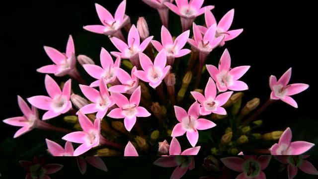 Море самых лучших русских хитов музыки для метро 2015 смотреть онлайн