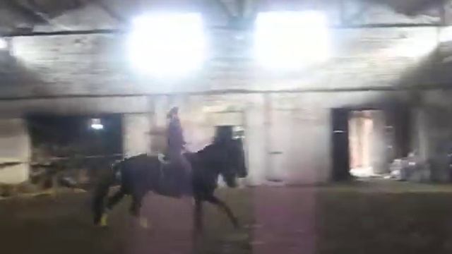 Галоп смотреть онлайн