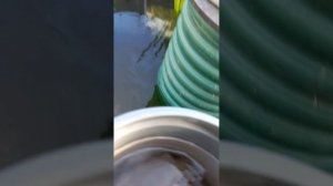 Самодельный плавающий скиммер для биоплато Аэрационной установки