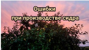 Сидр и мои ошибки