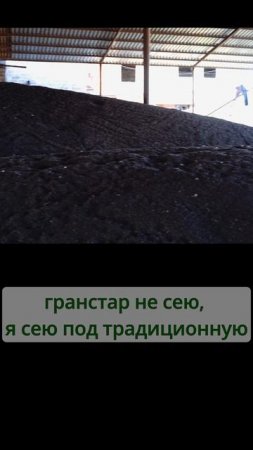 Зерновые сеялки в ноутилл.