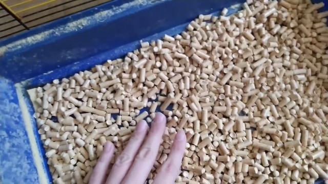 Уборка в клетке у крысы.1 часть.Нужна ли крысе клетка? смотреть онлайн