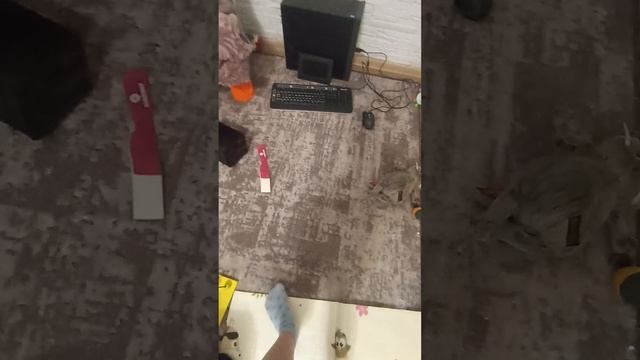 4 часть старый компьютер