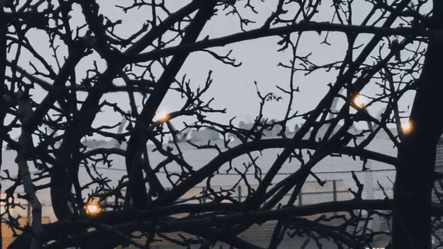 VID 20240212 082630 Об единстве (Эйлиф Арман)...Павел Васильев Лахтинский смотреть онлайн