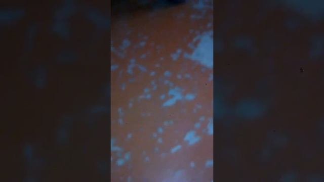 Обзор на меч ( Фикс Прайс ) смотреть онлайн