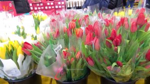 💥В ЛЕНТЕ ВЕСНА 🥰новинки 🔥Обзор из магазина март 2025