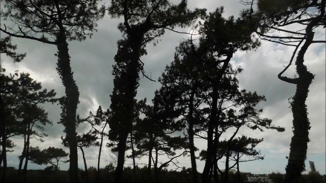 Elly Ameling: 2 Lieder aus Des Knaben Wunderhorn [Britten] by Mahler смотреть онлайн