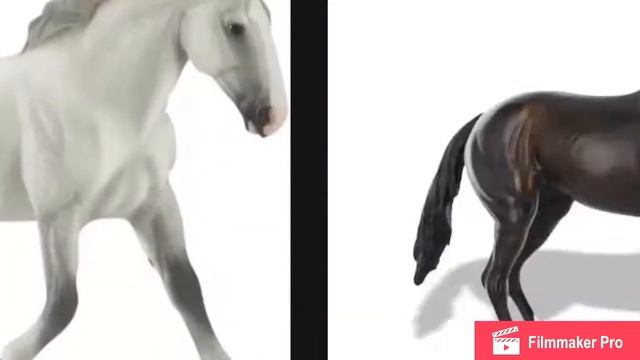 Слайдшоу с брейерами