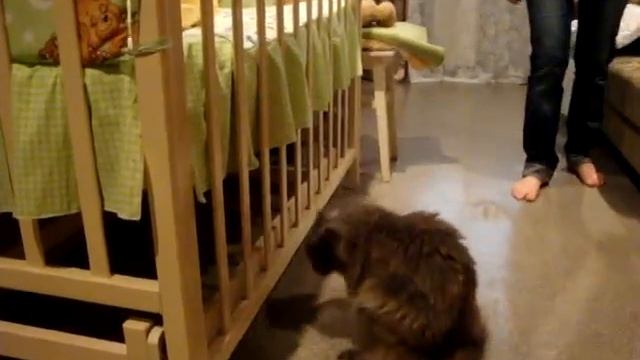 Первая встреча смотреть онлайн