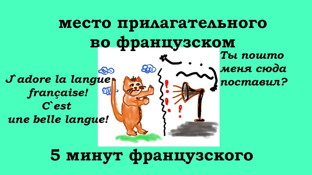Место прилагательного во французском языке, 5 минут французского
