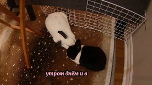 Вычислил с кем изменяет жена, и поехал к нему - Удивительные истории Измены Жены - Драмы Судьбы