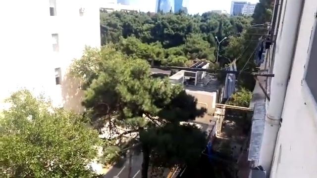 Шум от 20-й школы – 1 смотреть онлайн