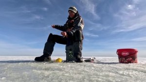 Крупная плотва весной со льда! Рыбалка на Чудском озере,Meerapalu. Эстония, д. Мерепалу.