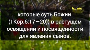 4.ВЕДЕНИЕ 2025г – КРЕСТ ПРОБУЖДЕНИЯ |Концентрат ключей пробуждения| С.Приходько | аудиокнига.mp4