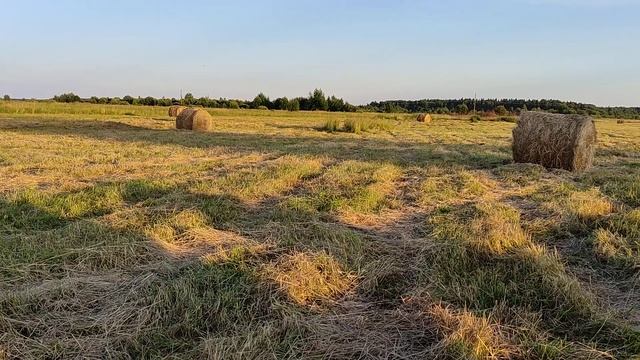 Шаги по траве#Шуршание #поле#сено#природа#деревенские красоты🪴🌾🍀 ASMR смотреть онлайн