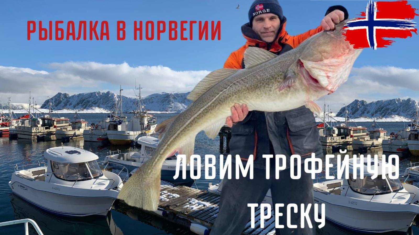 Рыбалка в Норвегии трофейной трески смотреть онлайн