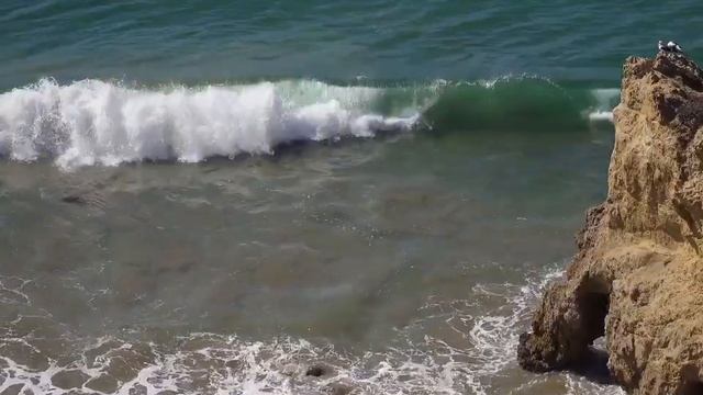 Life Jacket Sizing смотреть онлайн