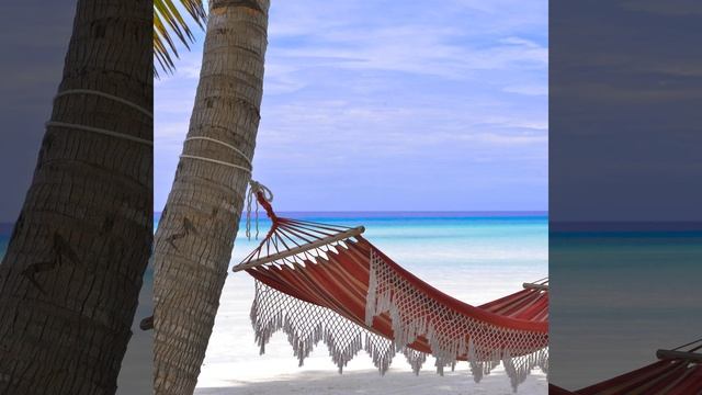 Расслабляющие звуки морских волн смотреть онлайн