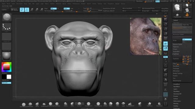Zbrush - Chimpanzee Skin Details (Part 6) смотреть онлайн