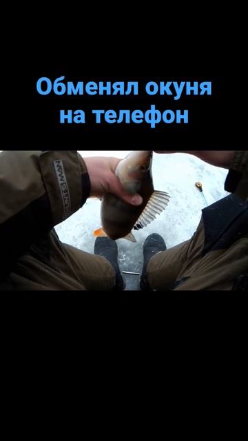 слишком дорогой окунь...#shorts #short #безмотылка смотреть онлайн