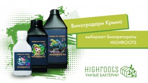 Виноградари Крыма выбирают HIGHROOTS