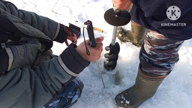 Огромный судак