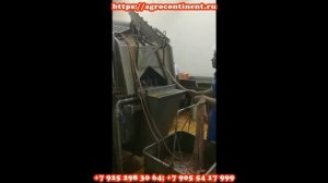 Очистка кишок свиней на мясокомбинате