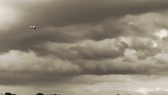 Mamba 4.24.24 смотреть онлайн