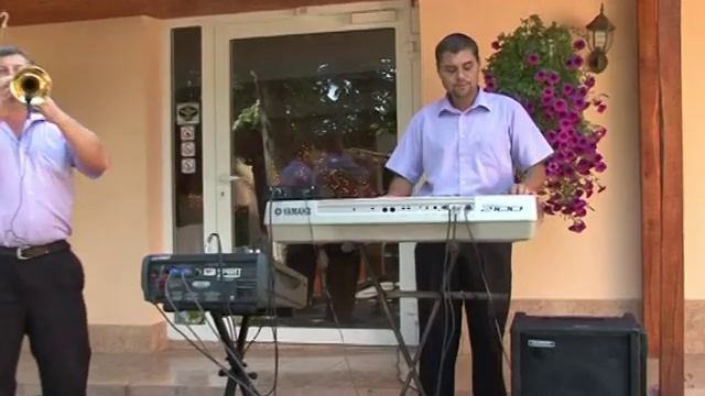 Formatia Favorit Stamate - Suceava. Telefon 0740006691 Vasile Leontica смотреть онлайн