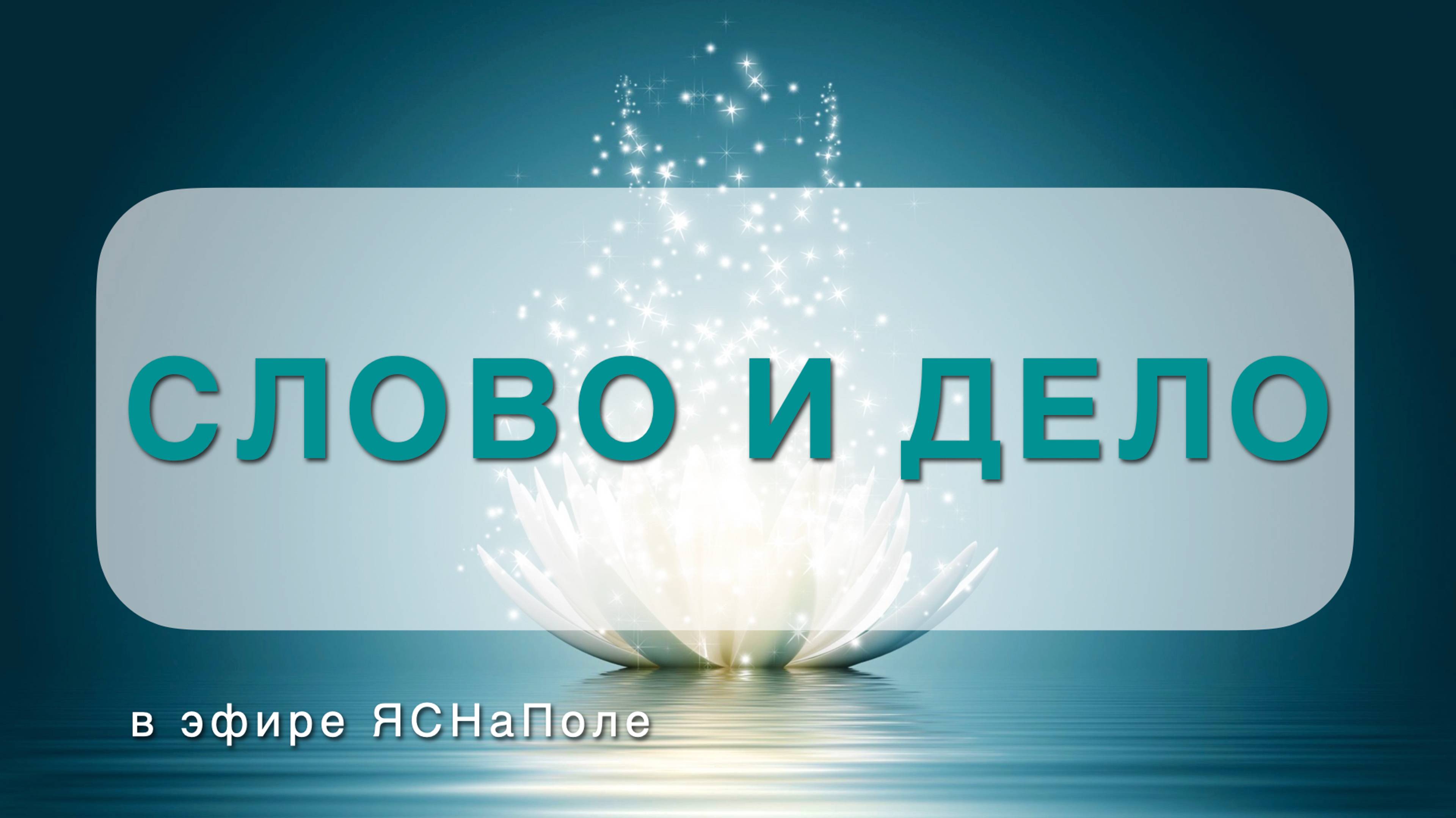 Слово и дело_22.11.2023