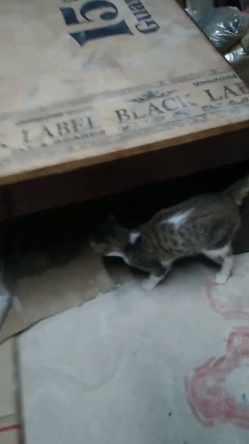 26 October 2021 смотреть онлайн