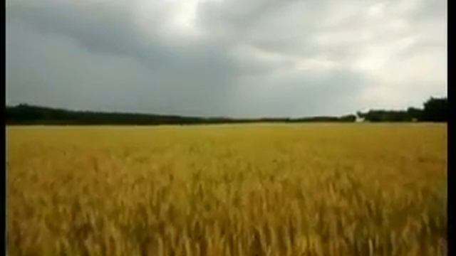 В.Царенко. Степом, степом/The Steppe, Steppe/Степью, степью