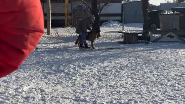 4.  выражено/перв ВЕРТ ХОФ ХОППЕ РЕНИ (Negus Karil*S Alan – Future By Us Lyutsiya)