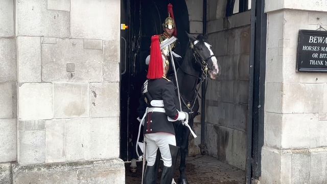 Surprise Visit: Off Duty Royal Guard On Duty Guards! смотреть онлайн