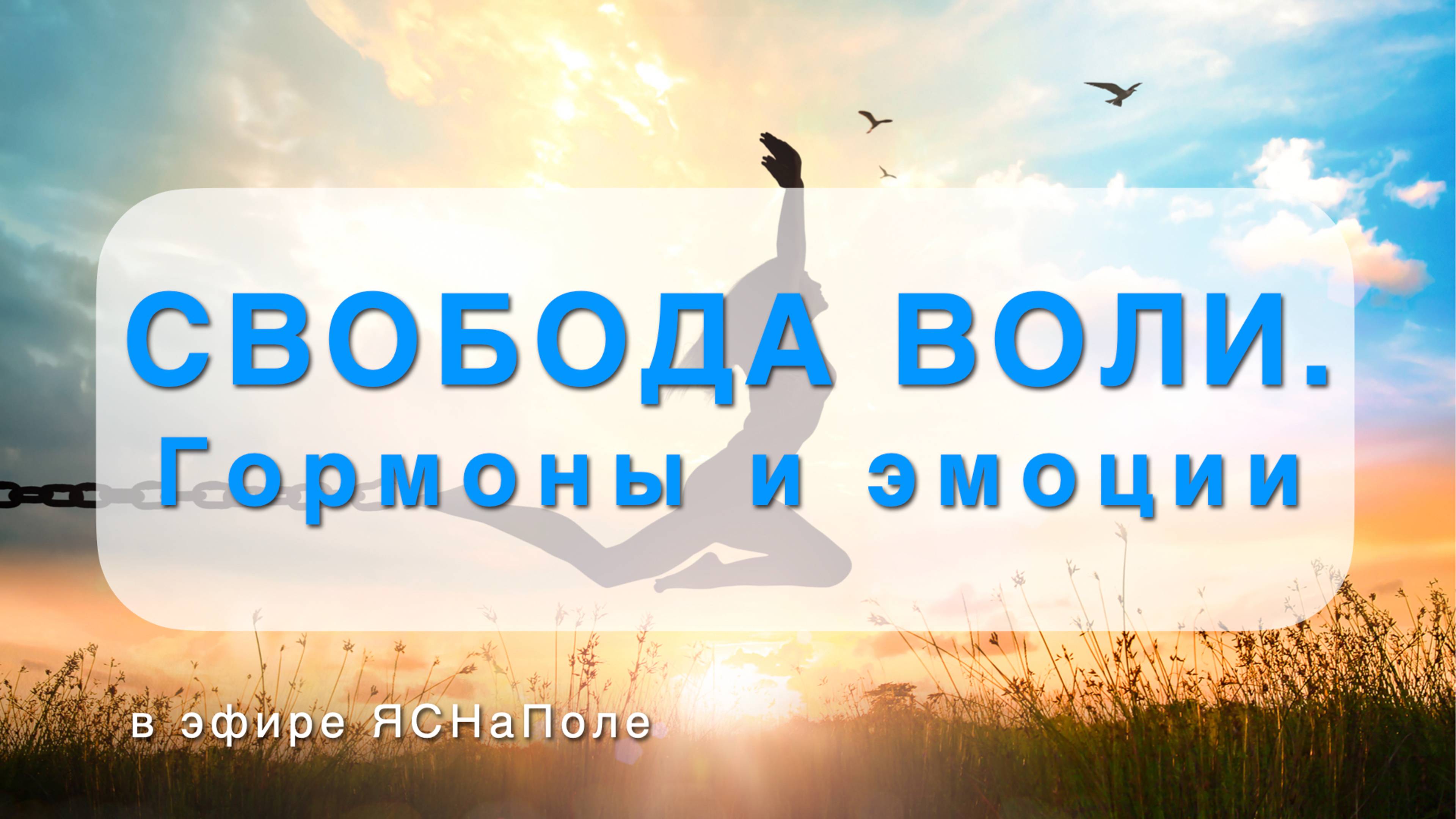 Свобода воли. Гормоны и эмоции 23.05.2023