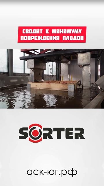 Линия сортировки яблок SORTER (до10 тонн в час) обзор часть 1