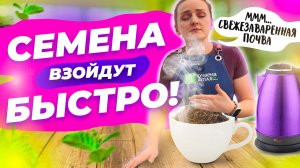 Делаю это, чтобы всходило быстро