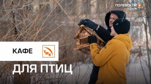 Кормушки для пернатых сделали металлурги СТЗ вместе с сыновьям