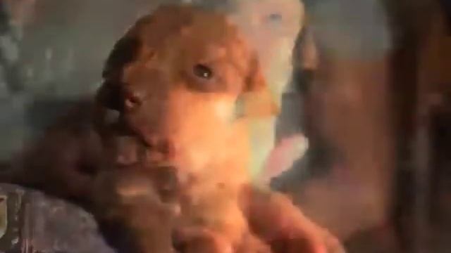 Иманята смотреть онлайн