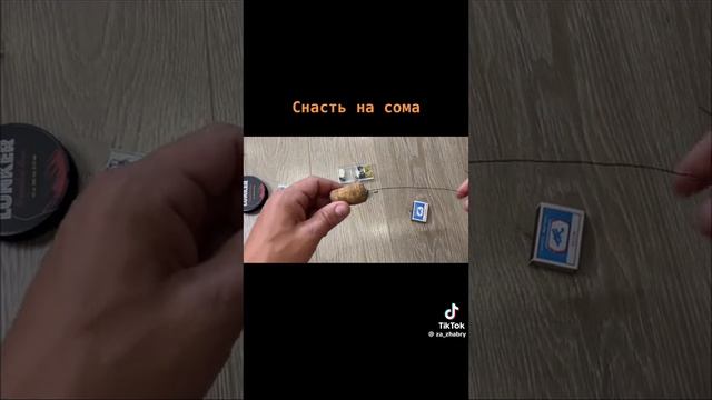 снасть на сома
