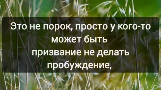 7. ЧТО ЗА МЕГАМОЛИТВЕННЫЕ? Концентрат ключей Пробуждения| С.Приходько| аудиокнига.mp4