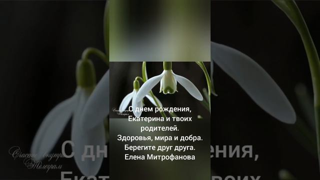 С днём рождения,Екатерина!