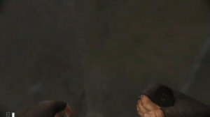 Cry Of Fear Bunny Hop