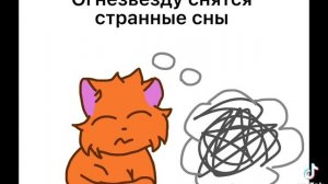 Что по настоящему делают коты воители 2 часа ночи