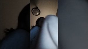 VID_20250305_230200.mp4