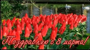 Поздравляю с Международным женским  Днем-  8 Марта