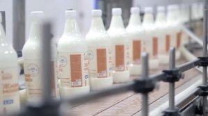 Производство молочной продукции